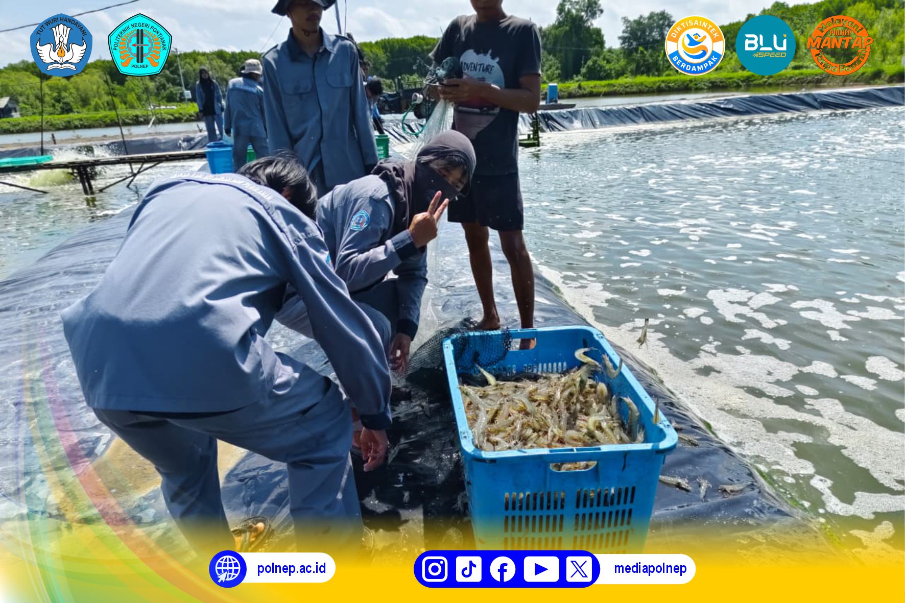 SUKSESKAN TEACHING FACTORY, POLNEP PANEN HAMPIR 1 TON UDANG VANAMEI DARI SISTEM BIOFLOK